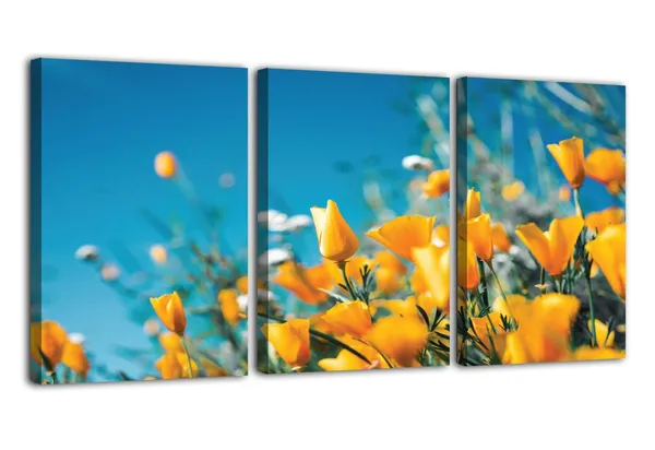 Multicolor_Abstract_Canvas_Wall_Art_|_For_Living_Room_Wall_Decor_|_For_Bedroom_Office_Decoration,_Wall_Decoration_Large_Painting_Artwork_Set_Of_3_Piece,_Each_Panel_Size_12_X_18,_S31790