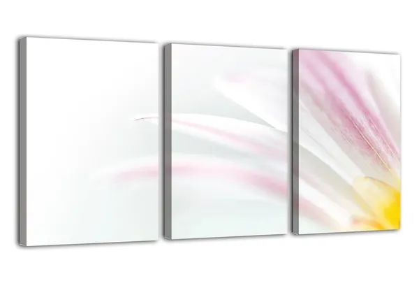 Multicolor_Abstract_Canvas_Wall_Art_|_For_Living_Room_Wall_Decor_|_For_Bedroom_Office_Decoration,_Wall_Decoration_Large_Painting_Artwork_Set_Of_3_Piece,_Each_Panel_Size_12_X_18,_S31792
