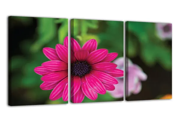 Multicolor_Abstract_Canvas_Wall_Art_|_For_Living_Room_Wall_Decor_|_For_Bedroom_Office_Decoration,_Wall_Decoration_Large_Painting_Artwork_Set_Of_3_Piece,_Each_Panel_Size_12_X_18,_S31794