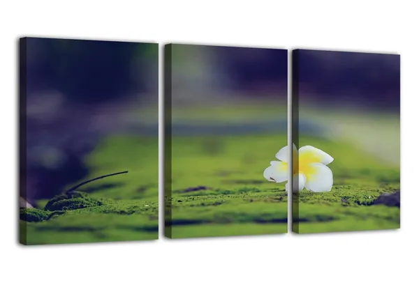 Multicolor_Abstract_Canvas_Wall_Art_|_For_Living_Room_Wall_Decor_|_For_Bedroom_Office_Decoration,_Wall_Decoration_Large_Painting_Artwork_Set_Of_3_Piece,_Each_Panel_Size_12_X_18,_S31820