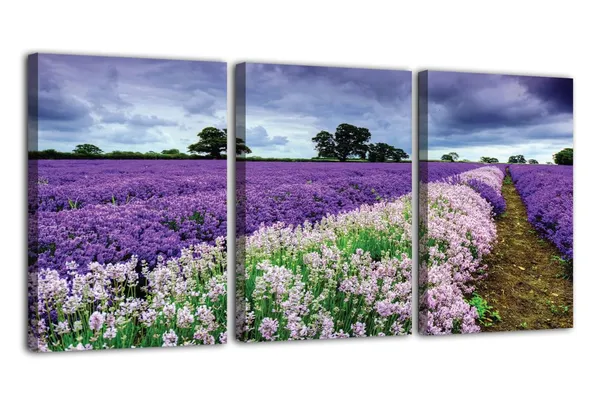 Multicolor_Abstract_Canvas_Wall_Art_|_For_Living_Room_Wall_Decor_|_For_Bedroom_Office_Decoration,_Wall_Decoration_Large_Painting_Artwork_Set_Of_3_Piece,_Each_Panel_Size_12_X_18,_S31823