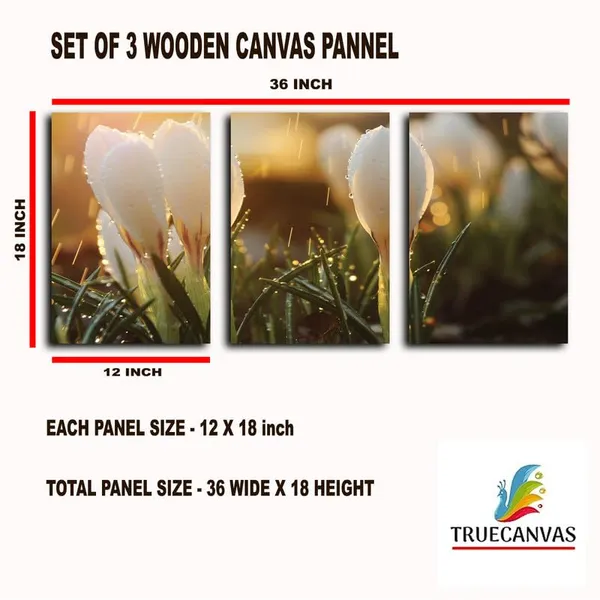 Multicolor_Abstract_Canvas_Wall_Art_|_For_Living_Room_Wall_Decor_|_For_Bedroom_Office_Decoration,_Wall_Decoration_Large_Painting_Artwork_Set_Of_3_Piece,_Each_Panel_Size_12_X_18,_S31846