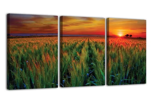 Multicolor_Abstract_Canvas_Wall_Art_|_For_Living_Room_Wall_Decor_|_For_Bedroom_Office_Decoration,_Wall_Decoration_Large_Painting_Artwork_Set_Of_3_Piece,_Each_Panel_Size_12_X_18,_S31850