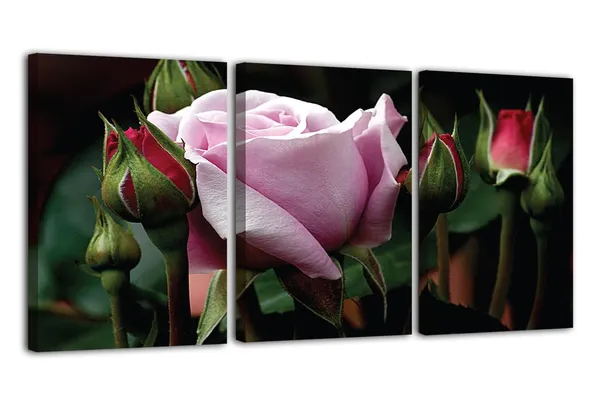 Multicolor_Abstract_Canvas_Wall_Art_|_For_Living_Room_Wall_Decor_|_For_Bedroom_Office_Decoration,_Wall_Decoration_Large_Painting_Artwork_Set_Of_3_Piece,_Each_Panel_Size_12_X_18,_S31881