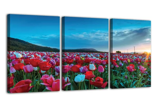 Multicolor_Abstract_Canvas_Wall_Art_|_For_Living_Room_Wall_Decor_|_For_Bedroom_Office_Decoration,_Wall_Decoration_Large_Painting_Artwork_Set_Of_3_Piece,_Each_Panel_Size_12_X_18,_S31901