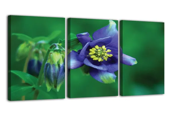 Multicolor_Abstract_Canvas_Wall_Art_|_For_Living_Room_Wall_Decor_|_For_Bedroom_Office_Decoration,_Wall_Decoration_Large_Painting_Artwork_Set_Of_3_Piece,_Each_Panel_Size_12_X_18,_S31927