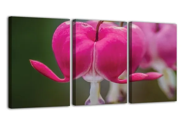 Multicolor_Abstract_Canvas_Wall_Art_|_For_Living_Room_Wall_Decor_|_For_Bedroom_Office_Decoration,_Wall_Decoration_Large_Painting_Artwork_Set_Of_3_Piece,_Each_Panel_Size_12_X_18,_S31928