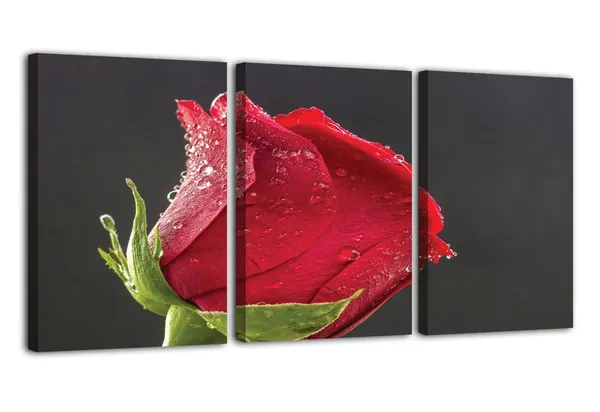 Multicolor_Abstract_Canvas_Wall_Art_|_For_Living_Room_Wall_Decor_|_For_Bedroom_Office_Decoration,_Wall_Decoration_Large_Painting_Artwork_Set_Of_3_Piece,_Each_Panel_Size_12_X_18,_S31930