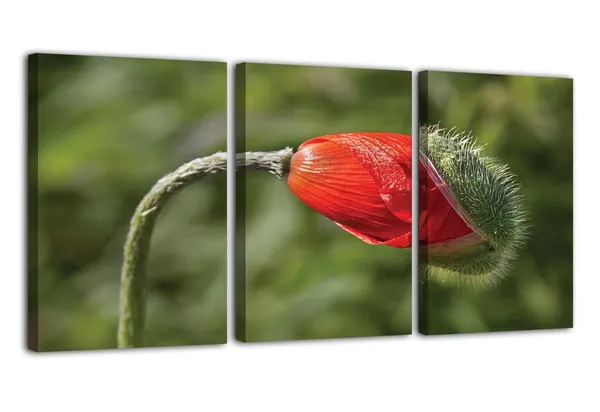 Multicolor_Abstract_Canvas_Wall_Art_|_For_Living_Room_Wall_Decor_|_For_Bedroom_Office_Decoration,_Wall_Decoration_Large_Painting_Artwork_Set_Of_3_Piece,_Each_Panel_Size_12_X_18,_S31931