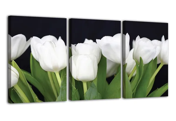 Multicolor_Abstract_Canvas_Wall_Art_|_For_Living_Room_Wall_Decor_|_For_Bedroom_Office_Decoration,_Wall_Decoration_Large_Painting_Artwork_Set_Of_3_Piece,_Each_Panel_Size_12_X_18,_S31951