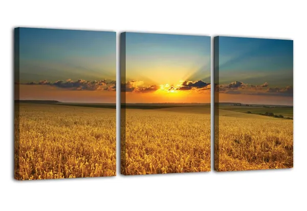 Multicolor_Abstract_Canvas_Wall_Art_|_For_Living_Room_Wall_Decor_|_For_Bedroom_Office_Decoration,_Wall_Decoration_Large_Painting_Artwork_Set_Of_3_Piece,_Each_Panel_Size_12_X_18,_S31957
