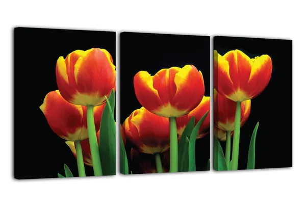Multicolor_Abstract_Canvas_Wall_Art_|_For_Living_Room_Wall_Decor_|_For_Bedroom_Office_Decoration,_Wall_Decoration_Large_Painting_Artwork_Set_Of_3_Piece,_Each_Panel_Size_12_X_18,_S31964