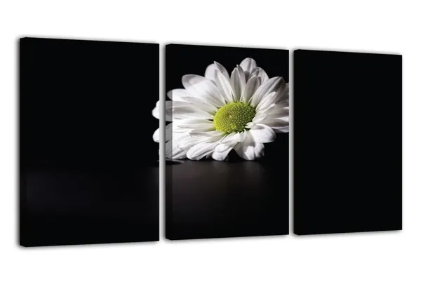 Multicolor_Abstract_Canvas_Wall_Art_|_For_Living_Room_Wall_Decor_|_For_Bedroom_Office_Decoration,_Wall_Decoration_Large_Painting_Artwork_Set_Of_3_Piece,_Each_Panel_Size_12_X_18,_S31967