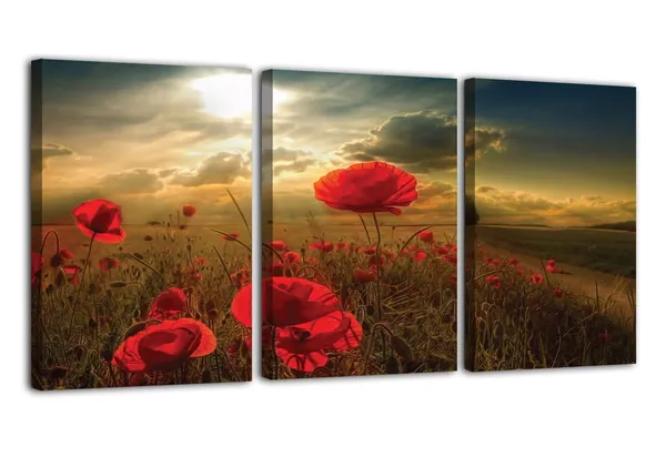 Multicolor_Abstract_Canvas_Wall_Art_|_For_Living_Room_Wall_Decor_|_For_Bedroom_Office_Decoration,_Wall_Decoration_Large_Painting_Artwork_Set_Of_3_Piece,_Each_Panel_Size_12_X_18,_S31981