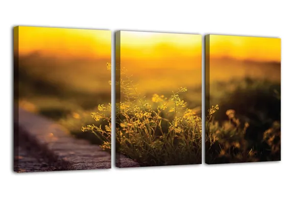 Multicolor_Abstract_Canvas_Wall_Art_|_For_Living_Room_Wall_Decor_|_For_Bedroom_Office_Decoration,_Wall_Decoration_Large_Painting_Artwork_Set_Of_3_Piece,_Each_Panel_Size_12_X_18,_S31997