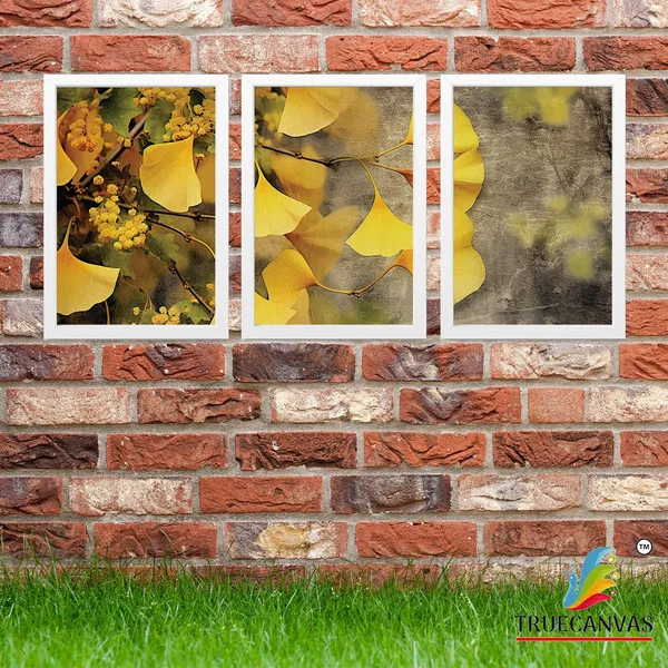 White__Abstract_Canvas_Painting_Set_Of_3_Wall_Hanging_Frame_|_For_Home,_Living_Room_Gallery_&_Office,_White,_Size_13.50_X_19.50_Inch,_Sf114