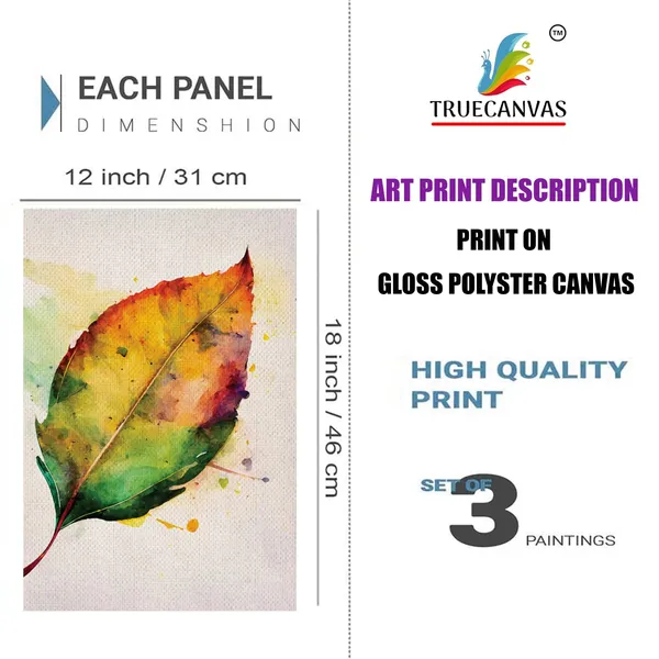 White__Abstract_Canvas_Painting_Set_Of_3_Wall_Hanging_Frame_|_For_Home,_Living_Room_Gallery_&_Office,_White,_Size_13.50_X_19.50_Inch,_Sf178