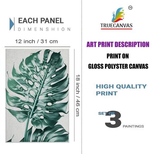 White__Abstract_Canvas_Painting_Set_Of_3_Wall_Hanging_Frame_|_For_Home,_Living_Room_Gallery_&_Office,_White,_Size_13.50_X_19.50_Inch,_Sf211
