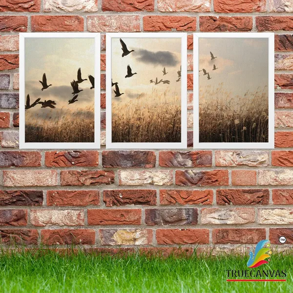 White__Abstract_Canvas_Painting_Set_Of_3_Wall_Hanging_Frame_|_For_Home,_Living_Room_Gallery_&_Office,_White,_Size_13.50_X_19.50_Inch,_Sf231
