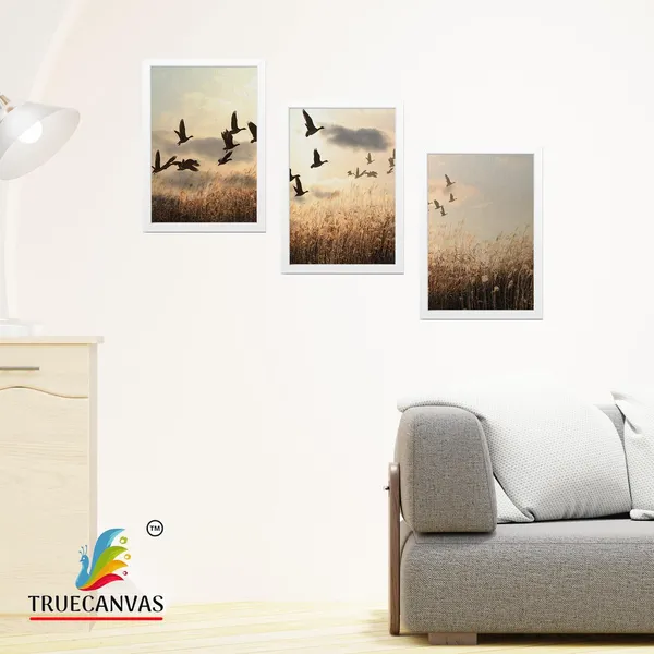 White__Abstract_Canvas_Painting_Set_Of_3_Wall_Hanging_Frame_|_For_Home,_Living_Room_Gallery_&_Office,_White,_Size_13.50_X_19.50_Inch,_Sf231