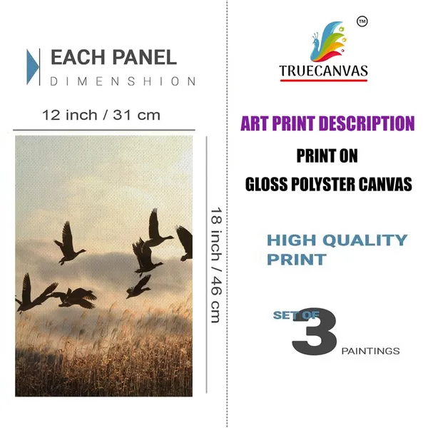 White__Abstract_Canvas_Painting_Set_Of_3_Wall_Hanging_Frame_|_For_Home,_Living_Room_Gallery_&_Office,_White,_Size_13.50_X_19.50_Inch,_Sf231