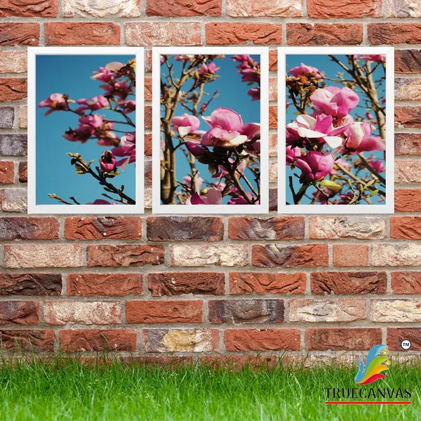 White__Abstract_Canvas_Painting_Set_Of_3_Wall_Hanging_Frame_|_For_Home,_Living_Room_Gallery_&_Office,_White,_Size_13.50_X_19.50_Inch,_Sf247