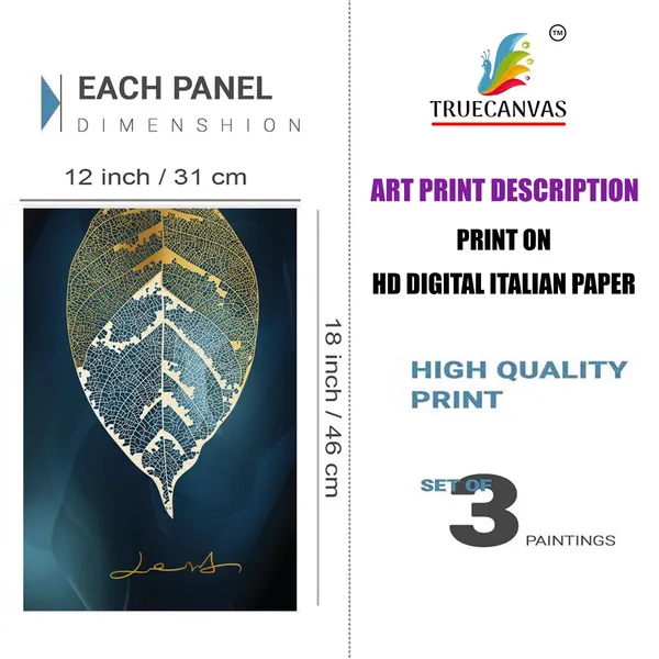 Multicolor_Abstract_Hd_Print_Painting_Set_Of_3_With_Frame_|_For_Home,_Living_Room_Gallery_&_Office,_Black,_Size_-_13.50_X_19.50_Inch,_Sf004