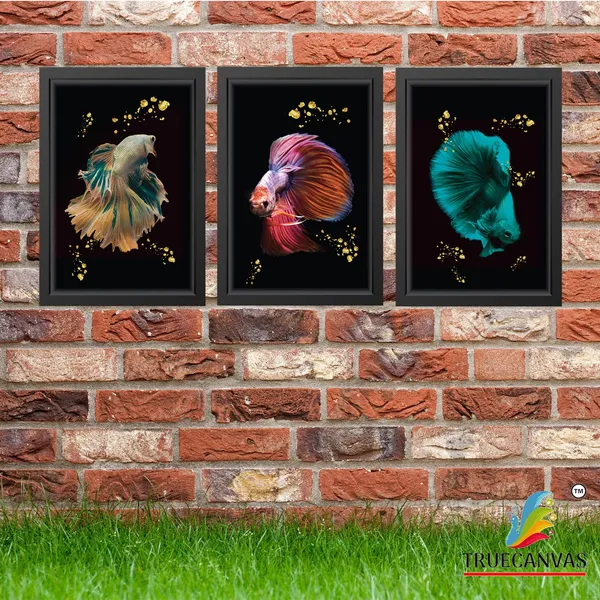 Multicolor_Abstract_Hd_Print_Painting_Set_Of_3_With_Frame_|_For_Home,_Living_Room_Gallery_&_Office,_Black,_Size_-_13.50_X_19.50_Inch,_Sf052