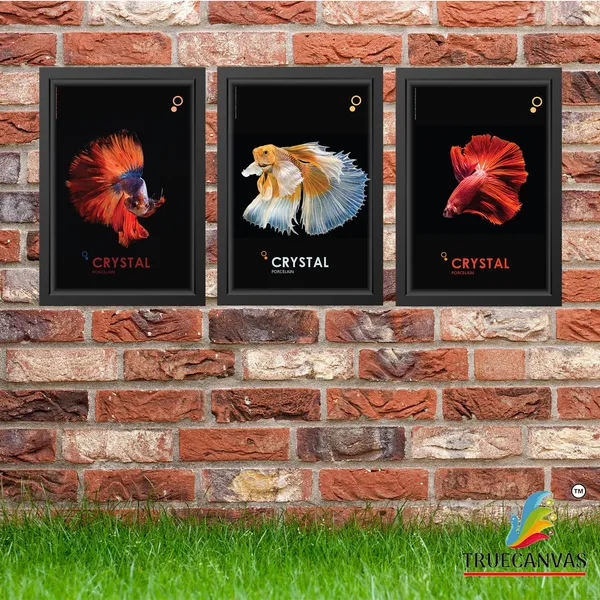 Black__Abstract_Hd_Print_Painting_Set_Of_3_With_Frame_|_For_Home,_Living_Room_Gallery_&_Office,_Black,_Size_-_13.50_X_19.50_Inch,_Sf053