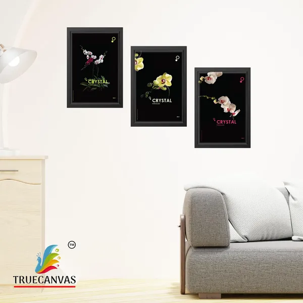 Black__Abstract_Hd_Print_Painting_Set_Of_3_With_Frame_|_For_Home,_Living_Room_Gallery_&_Office,_Black,_Size_-_13.50_X_19.50_Inch,_Sf075