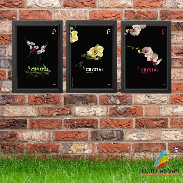 Black__Abstract_Hd_Print_Painting_Set_Of_3_With_Frame_|_For_Home,_Living_Room_Gallery_&_Office,_Black,_Size_-_13.50_X_19.50_Inch,_Sf075