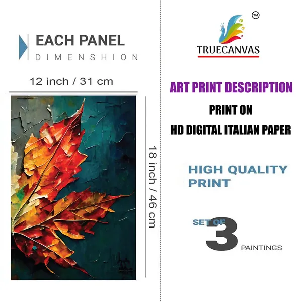 Black__Abstract_Hd_Print_Painting_Set_Of_3_With_Frame_|_For_Home,_Living_Room_Gallery_&_Office,_Black,_Size_-_13.50_X_19.50_Inch,_Sf176