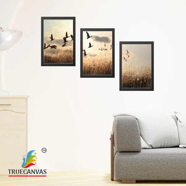 Multicolor_Abstract_Hd_Print_Painting_Set_Of_3_With_Frame_|_For_Home,_Living_Room_Gallery_&_Office,_Black,_Size_-_13.50_X_19.50_Inch,_Sf231