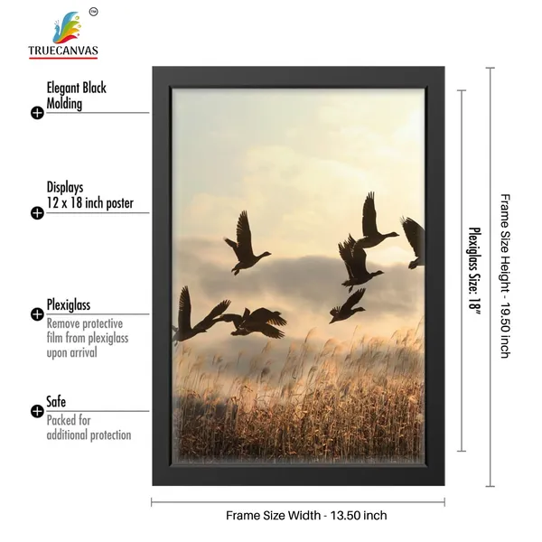 Multicolor_Abstract_Hd_Print_Painting_Set_Of_3_With_Frame_|_For_Home,_Living_Room_Gallery_&_Office,_Black,_Size_-_13.50_X_19.50_Inch,_Sf231
