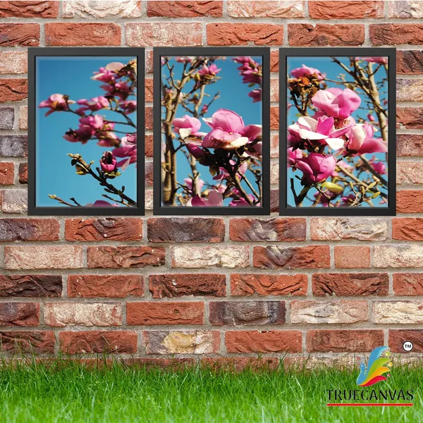 Black__Abstract_Hd_Print_Painting_Set_Of_3_With_Frame_|_For_Home,_Living_Room_Gallery_&_Office,_Black,_Size_-_13.50_X_19.50_Inch,_Sf247