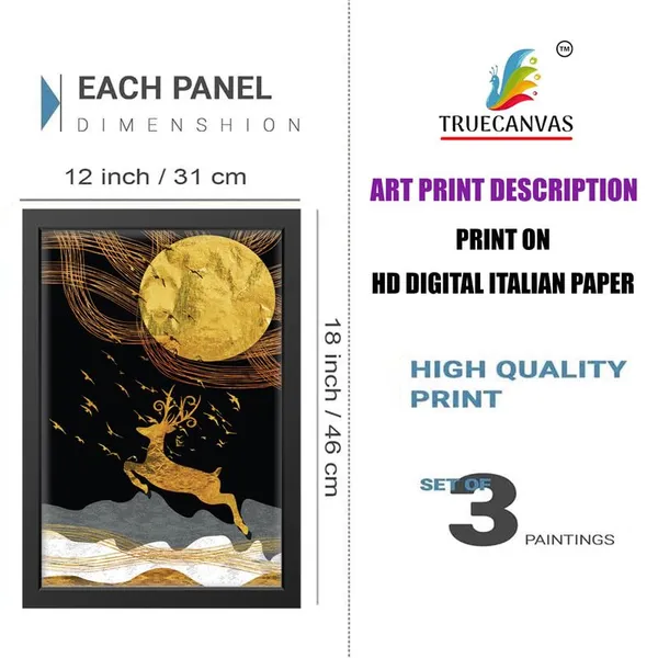 Multicolor_Abstract_Hd_Print_Painting_Set_Of_3_With_Frame_|_For_Home,_Living_Room_Gallery_&_Office,_Black_Frame,_Size_-_13.50_X_19.50_Inch,_Sf253