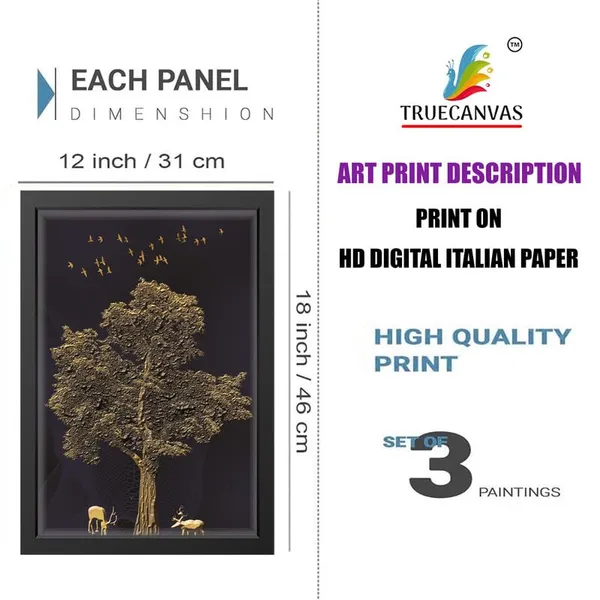 Multicolor_Abstract_Hd_Print_Painting_Set_Of_3_With_Frame_|_For_Home,_Living_Room_Gallery_&_Office,_Black_Frame,_Size_-_13.50_X_19.50_Inch,_Sf257