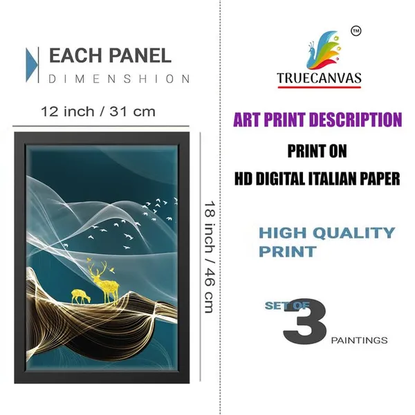 Multicolor_Abstract_Hd_Print_Painting_Set_Of_3_With_Frame_|_For_Home,_Living_Room_Gallery_&_Office,_Black_Frame,_Size_-_13.50_X_19.50_Inch,_Sf262