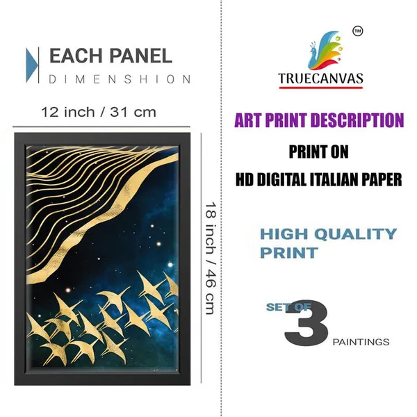 Multicolor_Abstract_Hd_Print_Painting_Set_Of_3_With_Frame_|_For_Home,_Living_Room_Gallery_&_Office,_Black_Frame,_Size_-_13.50_X_19.50_Inch,_Sf272