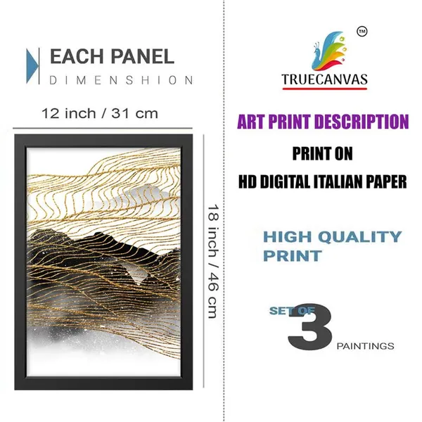 Multicolor_Abstract_Hd_Print_Painting_Set_Of_3_With_Frame_|_For_Home,_Living_Room_Gallery_&_Office,_Black_Frame,_Size_-_13.50_X_19.50_Inch,_Sf275