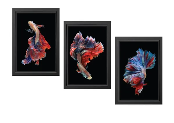 Multicolor_Abstract_Hd_Print_Painting_Set_Of_3_With_Frame_|_For_Home,_Living_Room_Gallery_&_Office,_Black_Frame,_Size_-_13.50_X_19.50_Inch,_Sf277