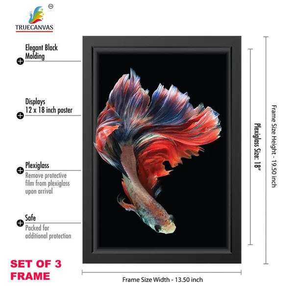 Multicolor_Abstract_Hd_Print_Painting_Set_Of_3_With_Frame_|_For_Home,_Living_Room_Gallery_&_Office,_Black_Frame,_Size_-_13.50_X_19.50_Inch,_Sf277