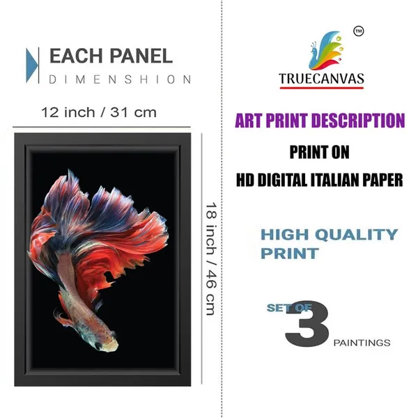Multicolor_Abstract_Hd_Print_Painting_Set_Of_3_With_Frame_|_For_Home,_Living_Room_Gallery_&_Office,_Black_Frame,_Size_-_13.50_X_19.50_Inch,_Sf277