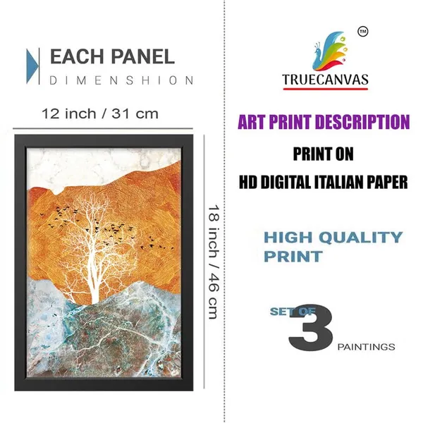 Multicolor_Abstract_Hd_Print_Painting_Set_Of_3_With_Frame_|_For_Home,_Living_Room_Gallery_&_Office,_Black_Frame,_Size_-_13.50_X_19.50_Inch,_Sf285
