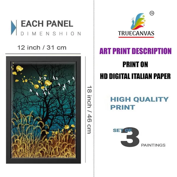 Multicolor_Abstract_Hd_Print_Painting_Set_Of_3_With_Frame_|_For_Home,_Living_Room_Gallery_&_Office,_Black_Frame,_Size_-_13.50_X_19.50_Inch,_Sf288