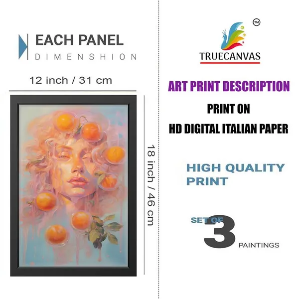 Multicolor_Abstract_Hd_Print_Painting_Set_Of_3_With_Frame_|_For_Home,_Living_Room_Gallery_&_Office,_Black_Frame,_Size_-_13.50_X_19.50_Inch,_Sf340