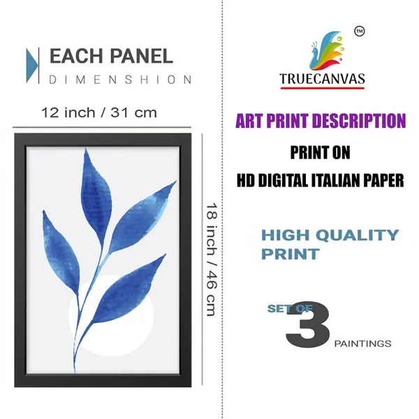 Multicolor_Abstract_Hd_Print_Painting_Set_Of_3_With_Frame_|_For_Home,_Living_Room_Gallery_&_Office,_Black_Frame,_Size_-_13.50_X_19.50_Inch,_Sf460