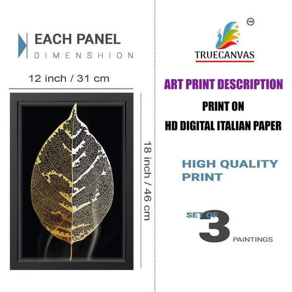 Black__Abstract_Hd_Print_Painting_Set_Of_3_With_Frame_|_For_Home,_Living_Room_Gallery_&_Office,_Black_Frame,_Size_-_13.50_X_19.50_Inch,_Sf479