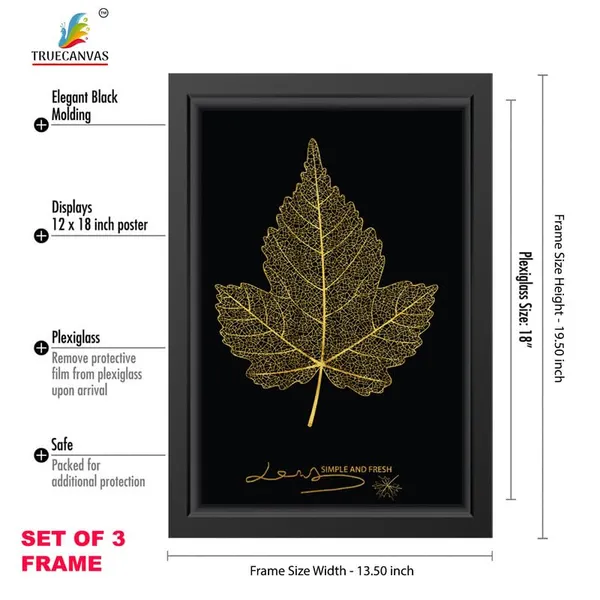 Multicolor_Abstract_Hd_Print_Painting_Set_Of_3_With_Frame_|_For_Home,_Living_Room_Gallery_&_Office,_Black_Frame,_Size_-_13.50_X_19.50_Inch,_Sf495