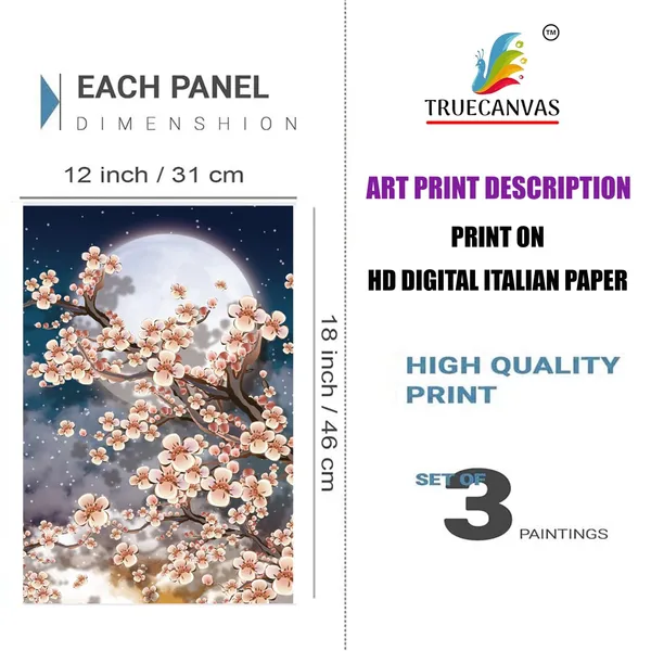 Multicolor_Abstract_Hd_Print_Painting_Set_Of_3_With_Frame_|_For_Home,_Living_Room_Gallery_&_Office,_White,_Size_-_13.50_X_19.50_Inch,_Sf037